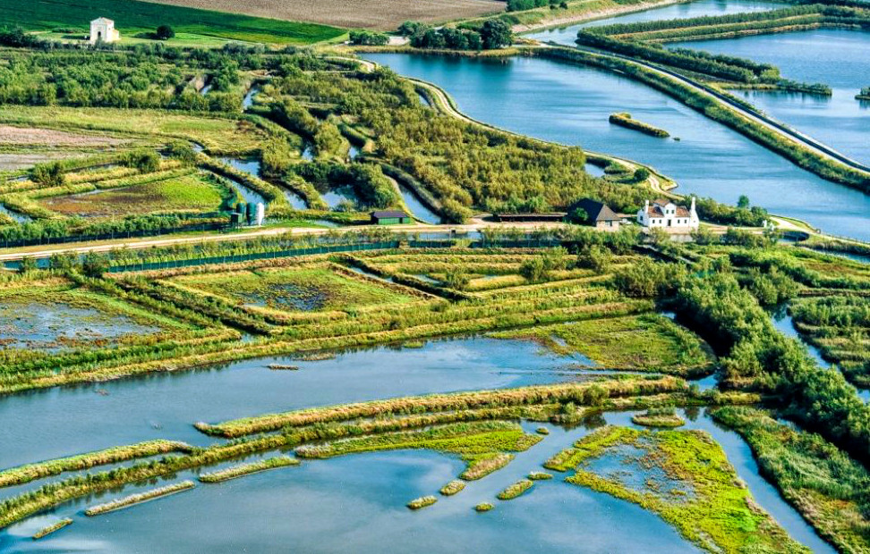 Parco Naturale del Delta del Po